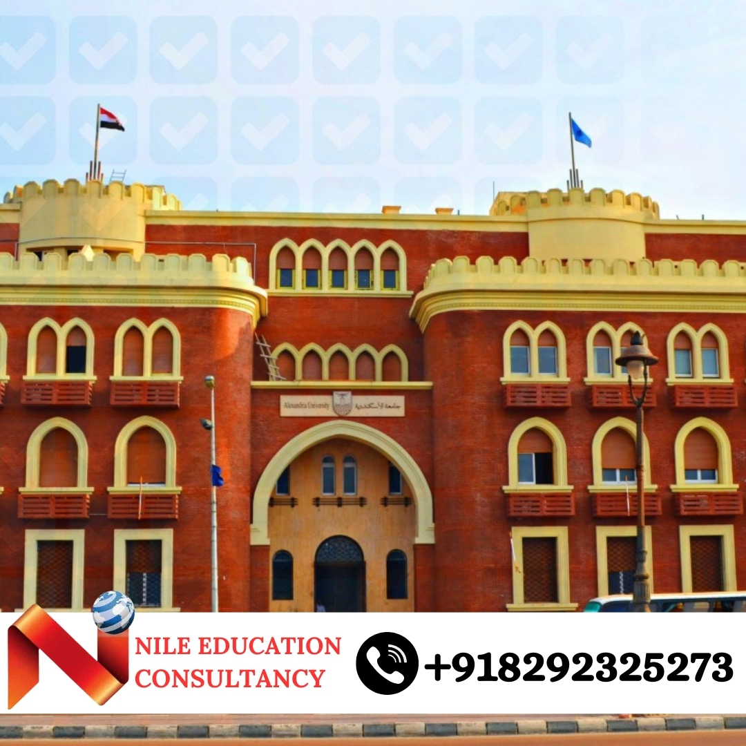 Alexandria University Hospital Training